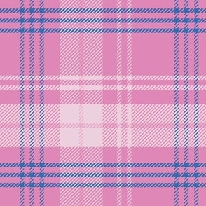 Pink and Blue Plaid - Medium