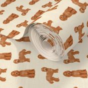 labradoodle dog pattern fabric - apricot labradoodle design, apricot dog, dog breed fabric, dog breeds fabric, cute dog -  light