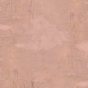 8 X 10 Textured Painted Plaster Dusty Pink by Audrey Jeanne