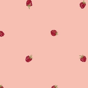 XS ✹ Pink Hand Drawn Raspberries