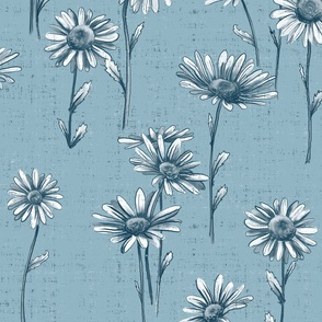 cottage daisies in steel blue