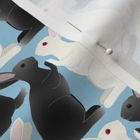 Black and White Bunny Rabbits Playing Pattycake on Sky Blue