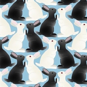 Black and White Bunny Rabbits Playing Pattycake on Sky Blue