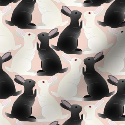 Black and White Bunny Rabbits Playing Pattycake on Pink