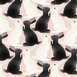 Black and White Bunny Rabbits Playing Pattycake on Pink