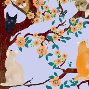 Cats in the Tree