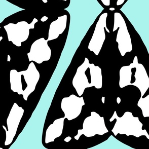 large Confused Moth black and white on light turquoise
