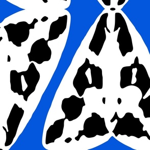large Confused Moth white and black on classic blue