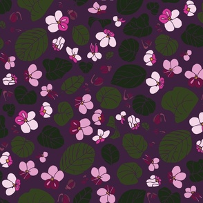 Little african violet bed - green, purple, pink
