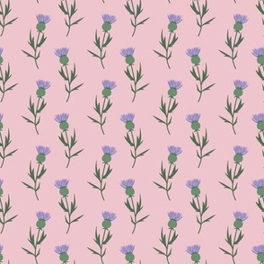 Flower night thistles summer garden colorful retro style lilac purple olive green on pink