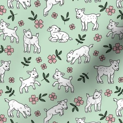 Adorable baby goats - sweet farm animals flowers leaves and goat design spring summer white pink green on mint 