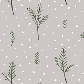 fir sprigs w snow -  neutral christmas