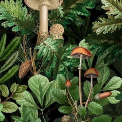 nostalgic toxic mushrooms in the forest on dark moody florals -vintage fall home decor,  antique wallpaper fabric- Psychadelic Mushroom Wallpaper black