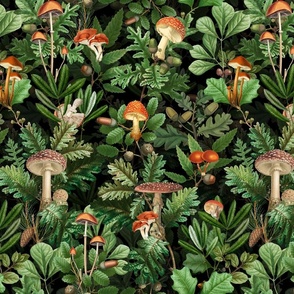 nostalgic toxic mushrooms in the forest on dark moody florals -vintage fall home decor,  antique wallpaper fabric- Psychadelic Mushroom Wallpaper black