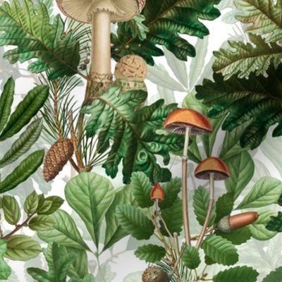 nostalgic toxic mushrooms in the forest on dark moody florals -vintage fall home decor,  antique wallpaper fabric- Psychadelic Mushroom Wallpaper -white