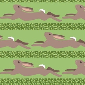 Leaping Brown Rabbit Stripe