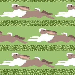 Leaping Brown Dutch Rabbit Stripe