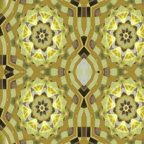 octagon citrine star lattice