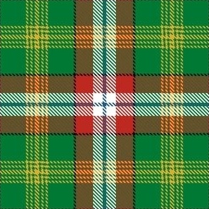 Official Northwest Territories Tartan Plaid