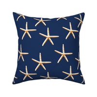 Starfish-Navy