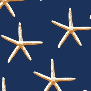 Starfish-Navy