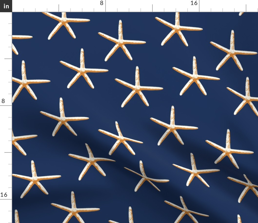 Starfish-Navy