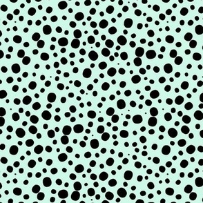 Black dots spots on mint