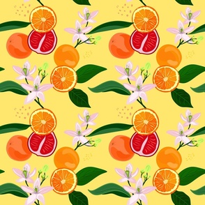 300dpi_yellow_grapefruit_orange