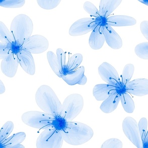 Light Blue Painted Flowers on a White Background