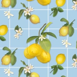 12" Country French Lemon Plaid in Light Blue, by Audrey Jeanne
