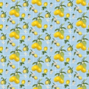 4" Country French Lemon Plaid in Light Blue, by Audrey Jeanne