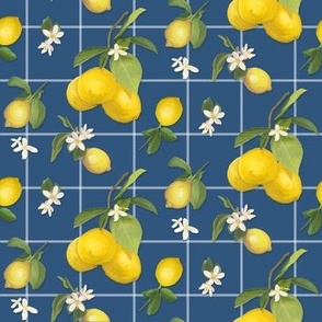 8" Country French Lemon Plaid in Blue, by Audrey Jeanne