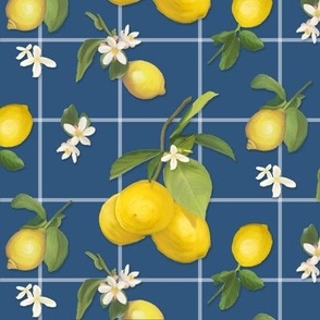 12" Country French Lemon Plaid in Blue, by Audrey Jeanne