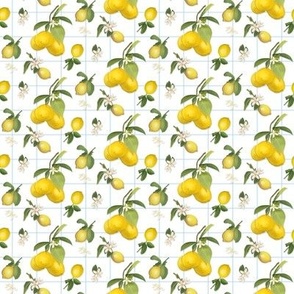 4" Country French Lemon Plaid in WHITE, by Audrey Jean