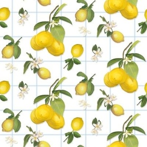 8" Country French Lemon Plaid in WHITE, by Audrey Jean
