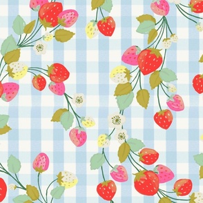 STRAWBERRY PICNIC (BLUE)