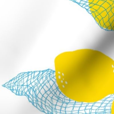 net of lemons