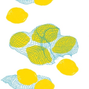net of lemons