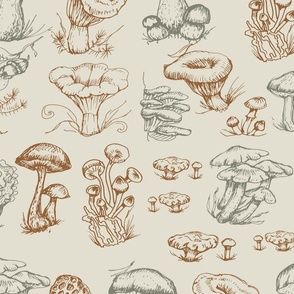 Mushrooms-Madness