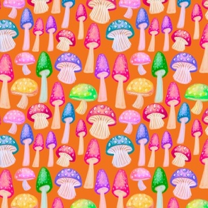 Magical Mushrooms 