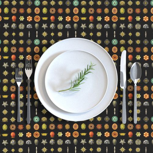 HOME_GOOD_RECTANGULAR_TABLE_CLOTH