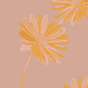 Gerbera daisy soft peach