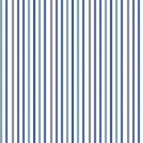 Blue Varied Stripes 