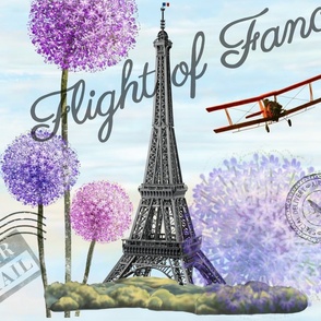 French Country - Plane Over Paris