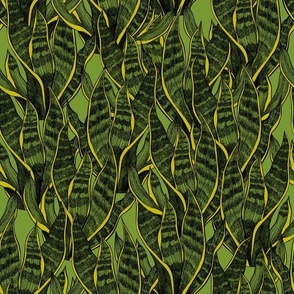 Dark Green Snake Plant Ink Drawing  