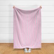 Medium Scale Barbiecore French Ticking Vertical Stripes in Hot and Light Pink