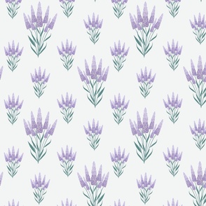 French Lavender Fields: Small