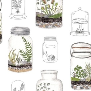 Medium Scale - Terrariums with Tiny Plants - White