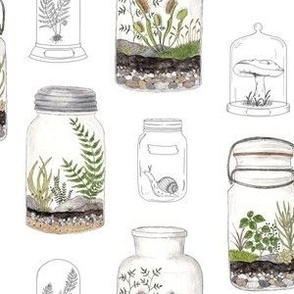 Small Scale - Terrariums with Tiny Plants - White 