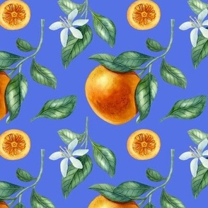 Seamless citrus fruit pattern (orange and purple)